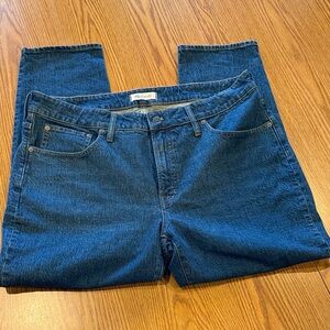 Madewell - The Plus Perfect Vintage Jean in Haight Wash - high waist mom Jean